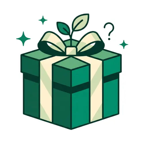 Mystery Gift