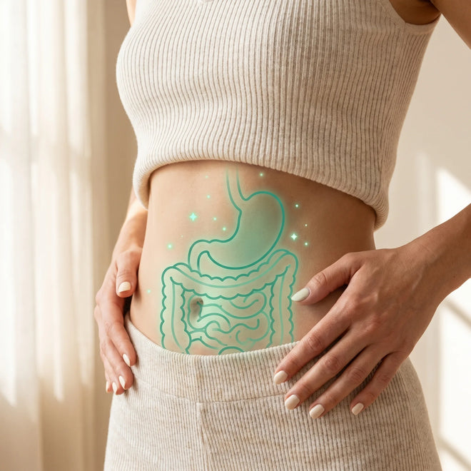 Digestion