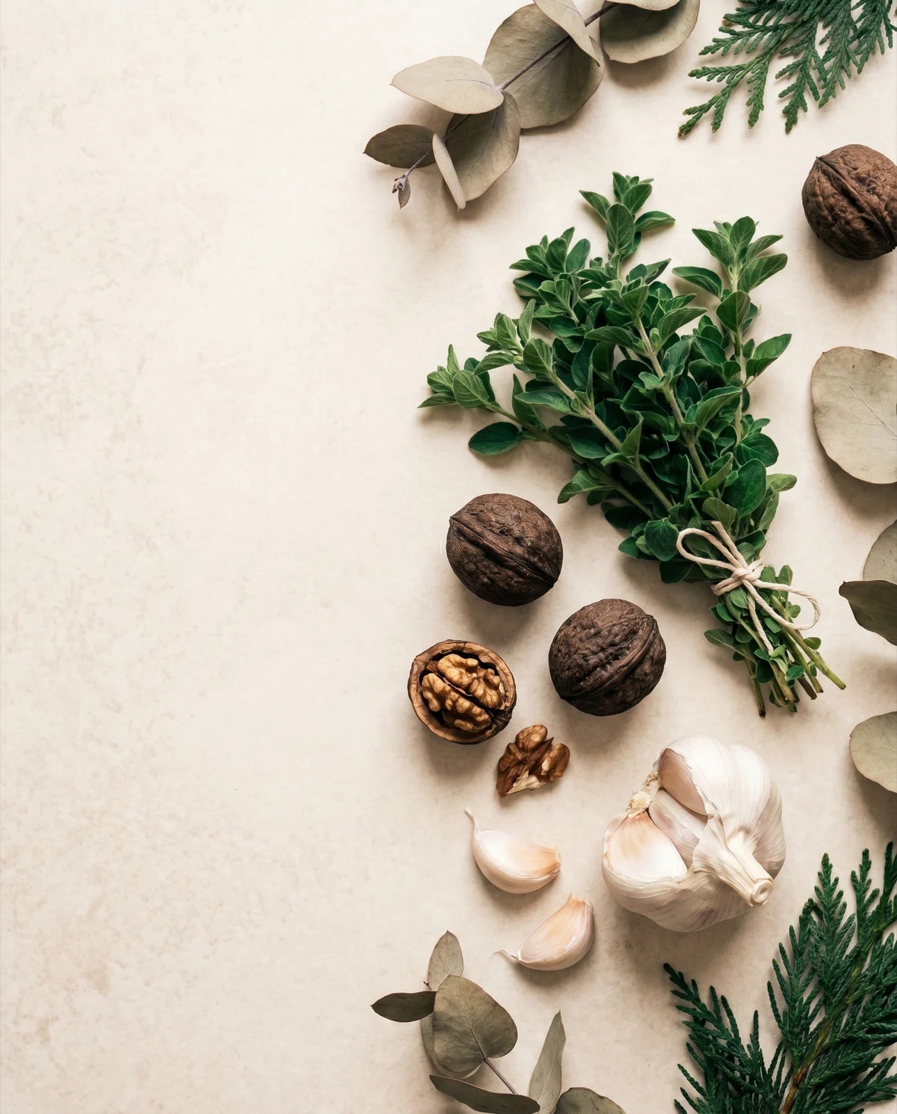Fresh oregano, black walnut and garlic botanical ingredients flat lay